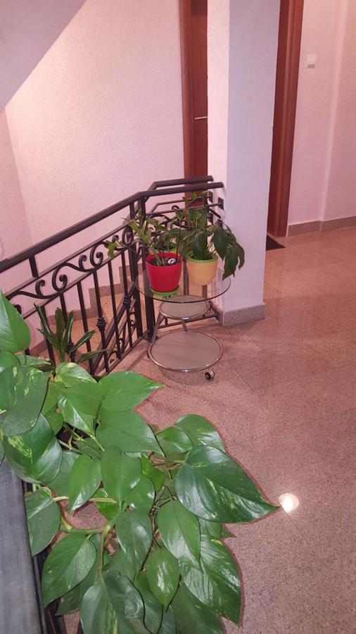 Apartment Centar Lux *
