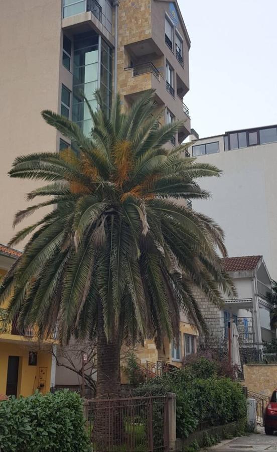Centar Lux Apartment *